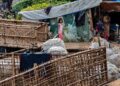 ‘Don’t cut the aid’: Insecurity worsens for stateless Rohingya, says UNHCR’s Grandi