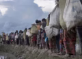 Why Myanmar’s Rohingya repatriation plan rings hollow