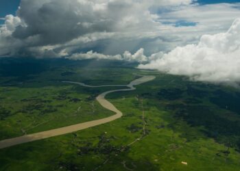 Rohingya waste jeopardising cultivation in Cox’s Bazar