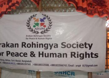 ‘Safe zone in Rakhine will resolve the Rohingya crisis better than a corridor’