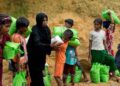 EU pursuing political solution to Rohingya crisis: envoy