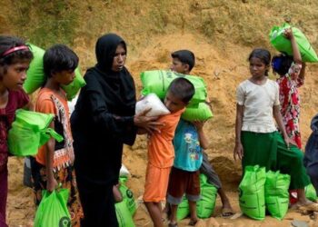 EU pursuing political solution to Rohingya crisis: envoy