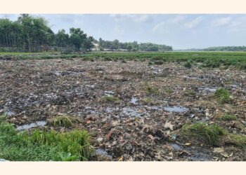 Rohingya waste jeopardising cultivation in Cox’s Bazar