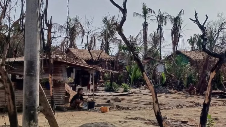 A woman cooks next to destroyed houses and burned trees following fighting between Myanmar's military and the Arakan Army in a village in Minbya Township in Rakhine State on May 21, 2024. FILE PHOTO: AFP