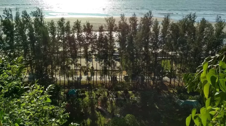 The green return to Cox’s Bazar