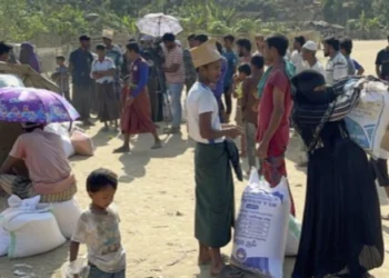 France reaffirms commitment to help solve Rohingya crisis