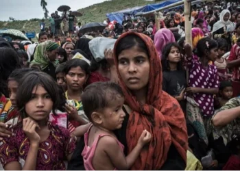ICC should probe Arakan Army’s war crimes against Rohingya: Fortify Rights