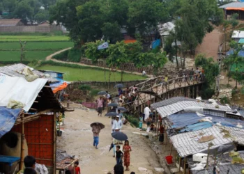 Who really speaks for the Rohingya?