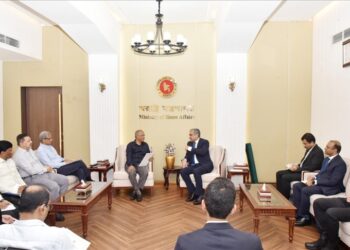 Pakistan only issuing passports to Rohingya, not giving them citizenship: Interior minister