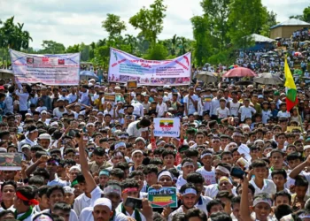 Take solid steps for sustainable Rohingya repatriation: OIC to Myanmar