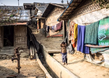 Govt intensifying efforts to bring back Rohingya issue to global forums: CA press secy