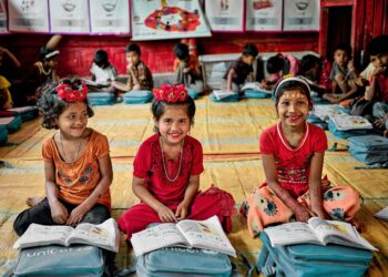 ASEAN parliamentarians call for regional summit with Bangladesh, China on Rohingya crisis