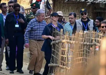 The Rohingya crisis and Asean’s failing conscience