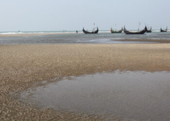 Persecution of Rohingya Refugees Part of India’s Anti-Muslim Crackdown